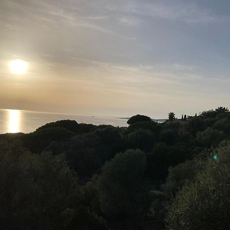 Chez Jean Claude La Villa Des Amis オルムト エクステリア 写真